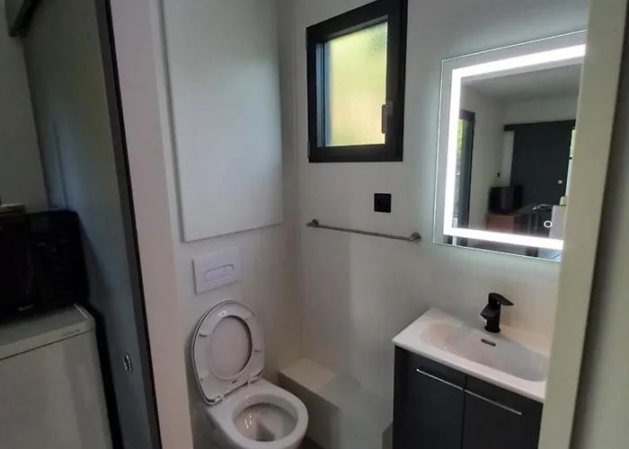 Tiny House Dans L'ouest Lyonnais 公寓 Sain-Bel